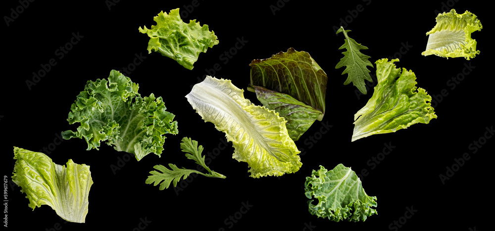 Falling salad leaves isolated on black background