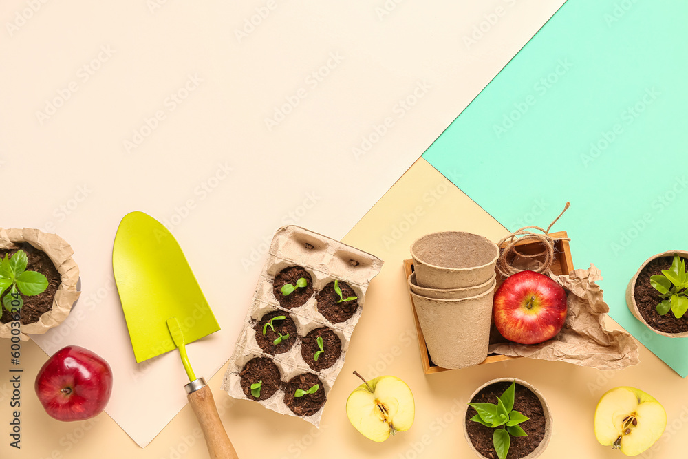 Peat pots with green seedlings, apples and shovel on color background