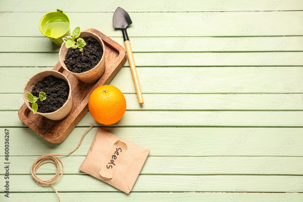 Pack with seeds, green seedlings, orange and gardening tools on green wooden background