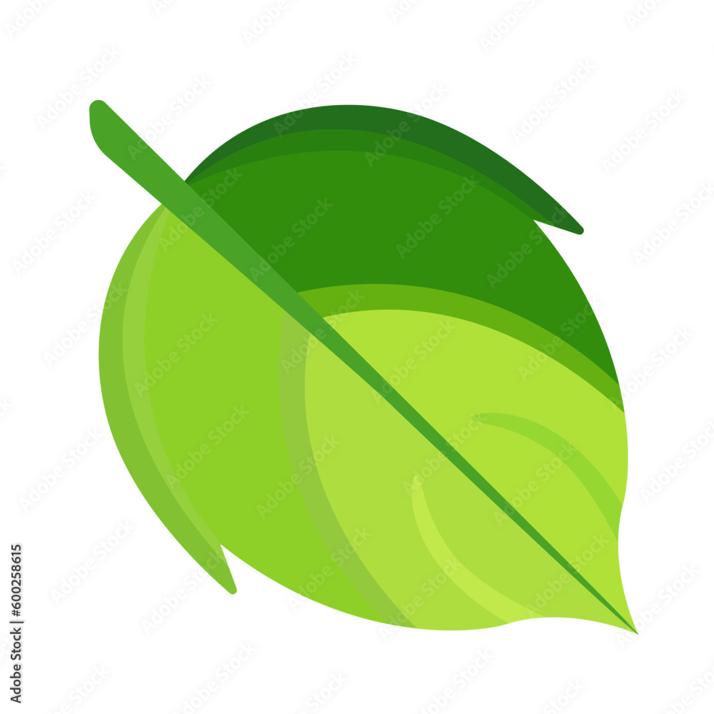 Cartoon Leaf Icon on white. Vector Illustration