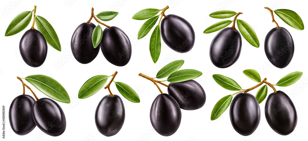 Black olives on branch with leaves isolated on white background with clipping path. Generative AI