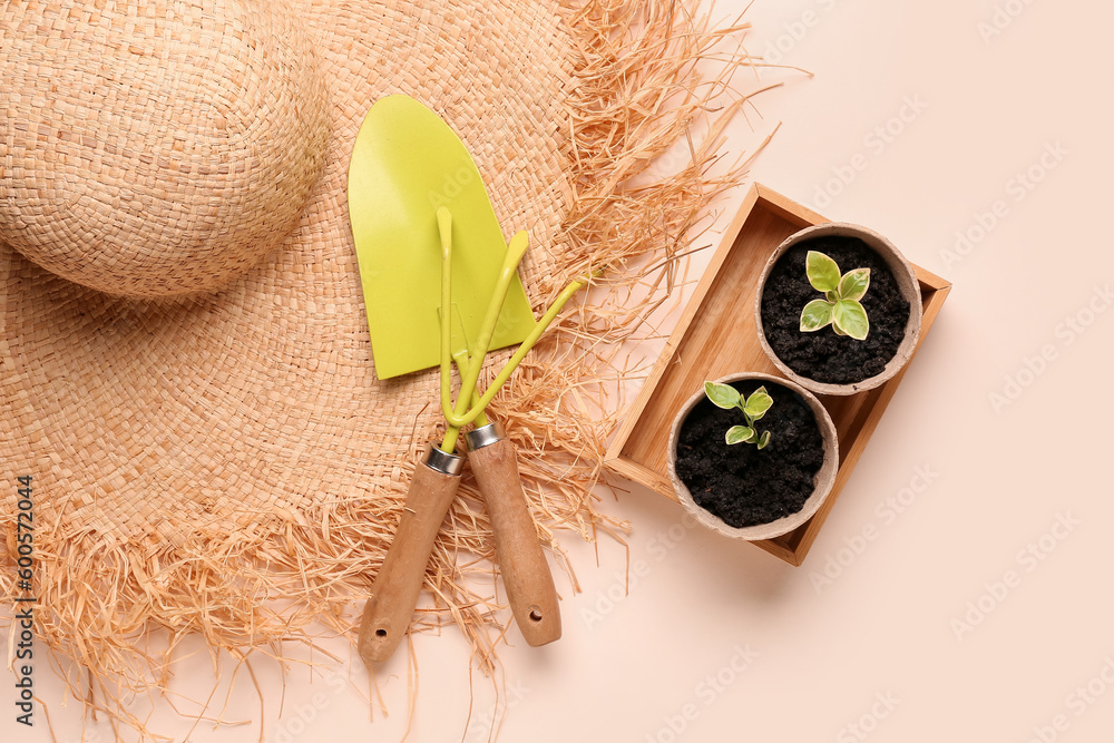 Peat pots with green seedlings, straw hat and gardening tools on beige background