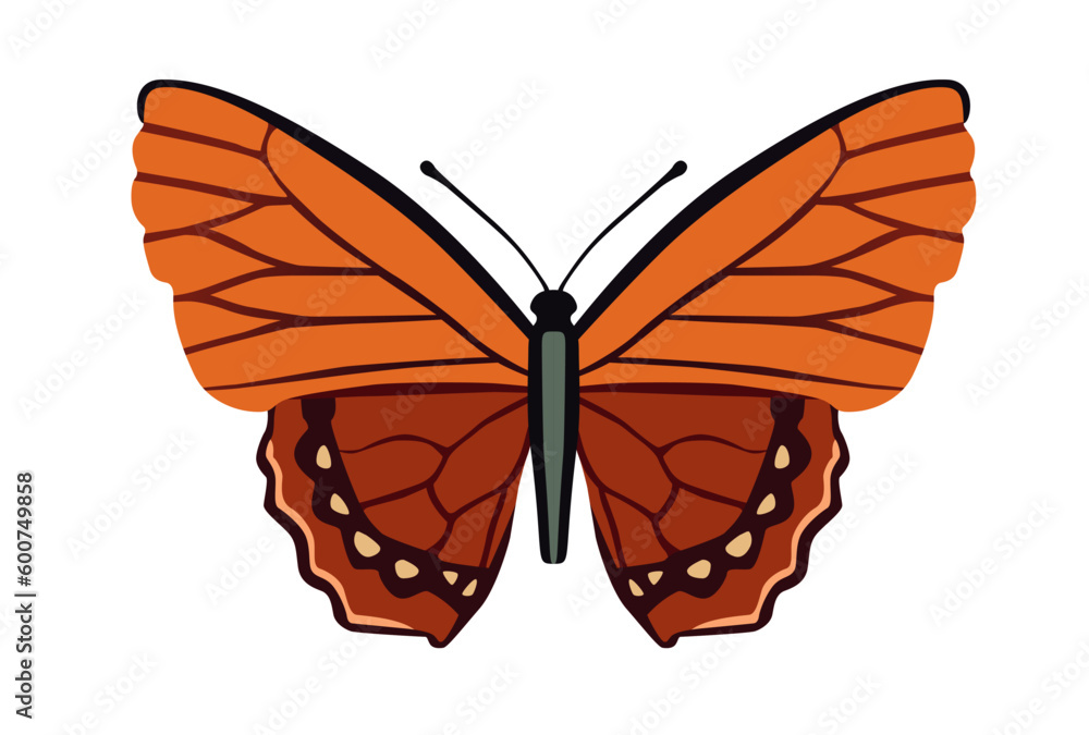 Butterfly simple icon on white. Vector Illustration. EPS10