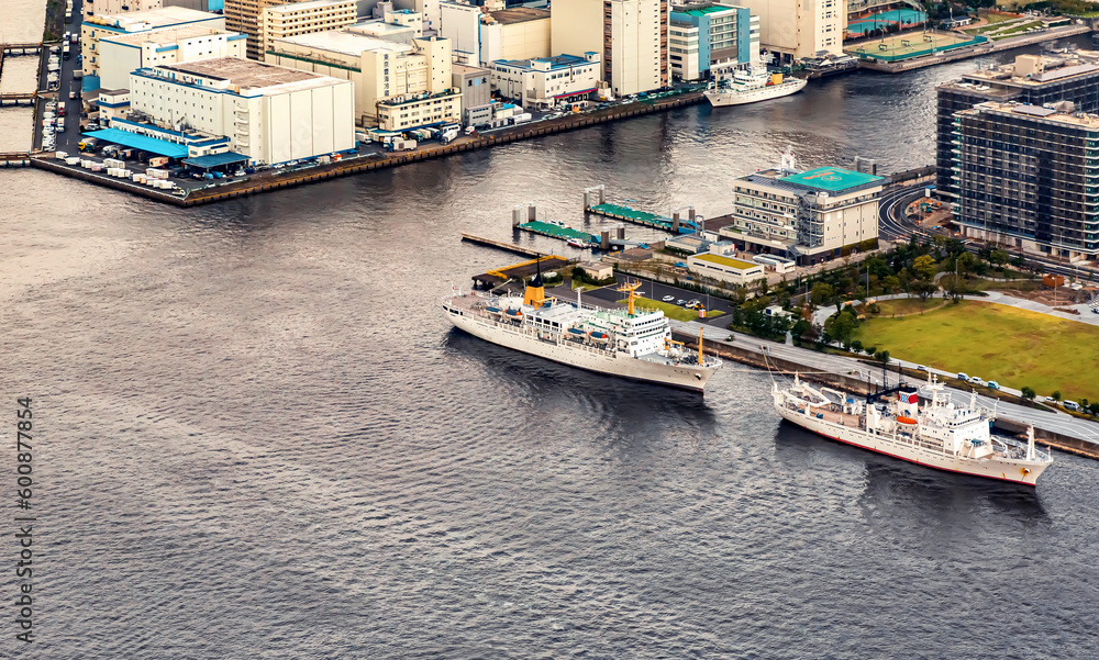 Aerial view of Odaiba Harbor in Minato City, Tokyo, Japan