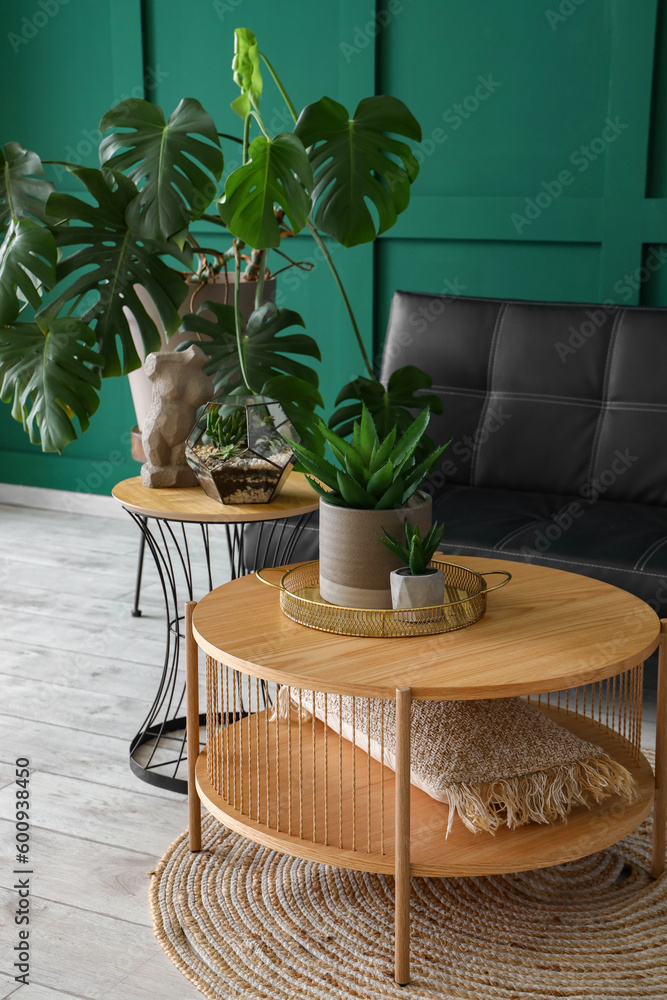 Interior of living room with coffee tables, houseplants and sofa