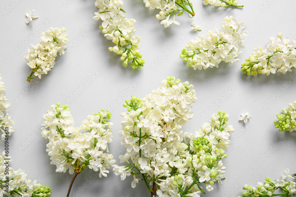 Blooming lilac flowers on grey background