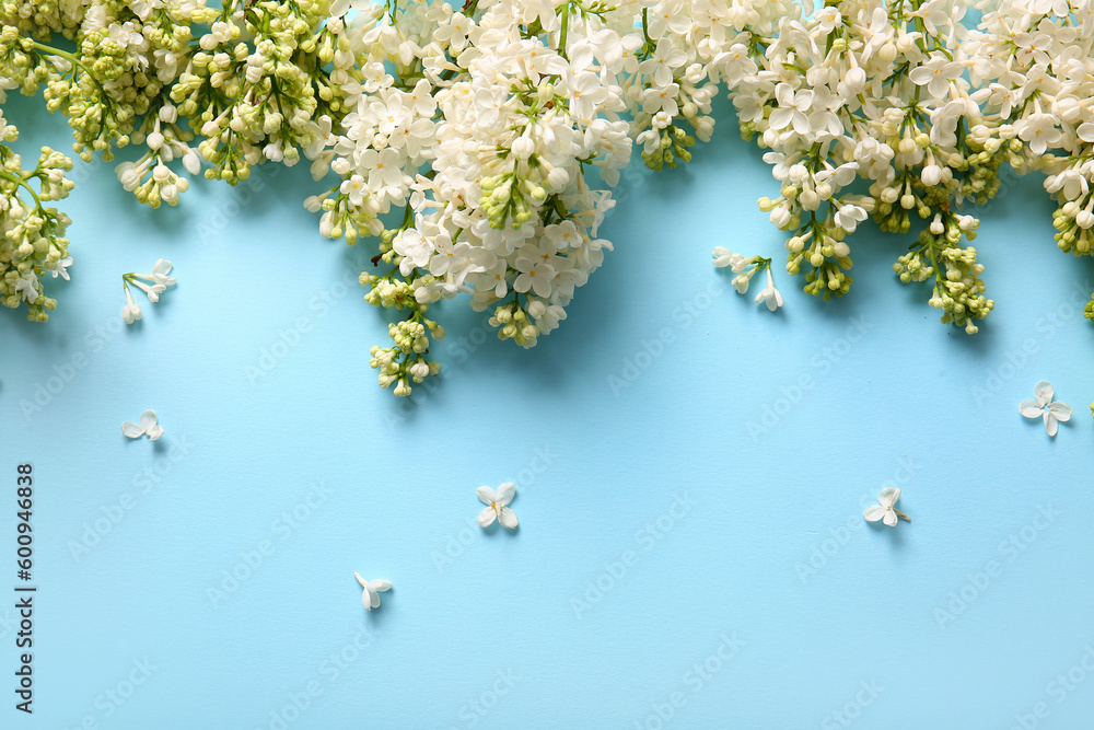 Blooming lilac flowers on blue background