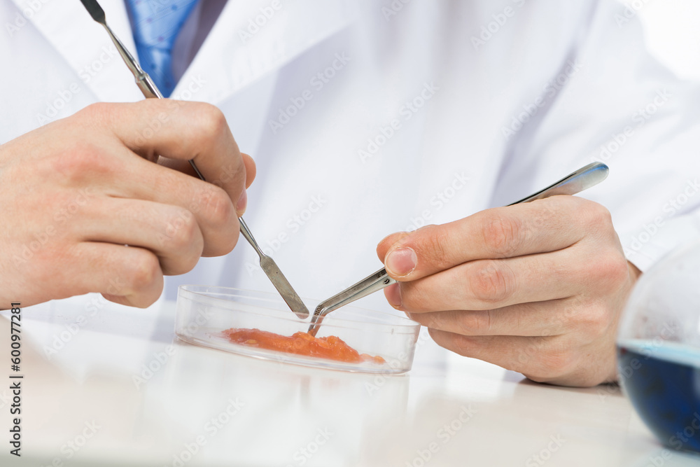 Researching food sample with tweezers