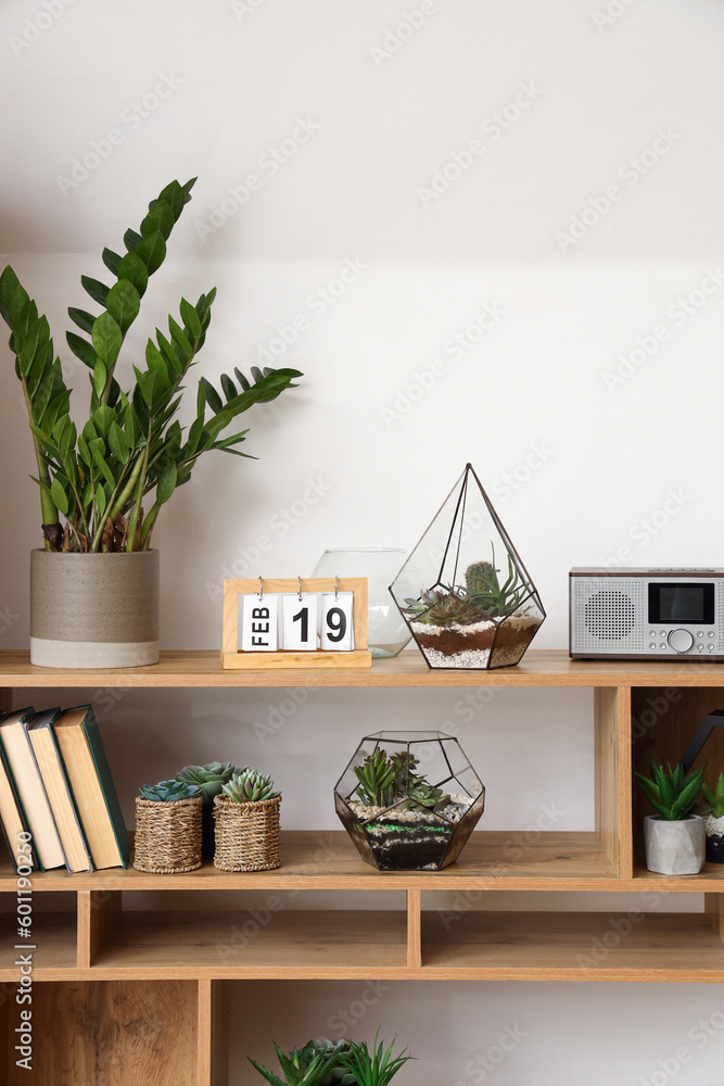 Bookcase with florariums near light wall