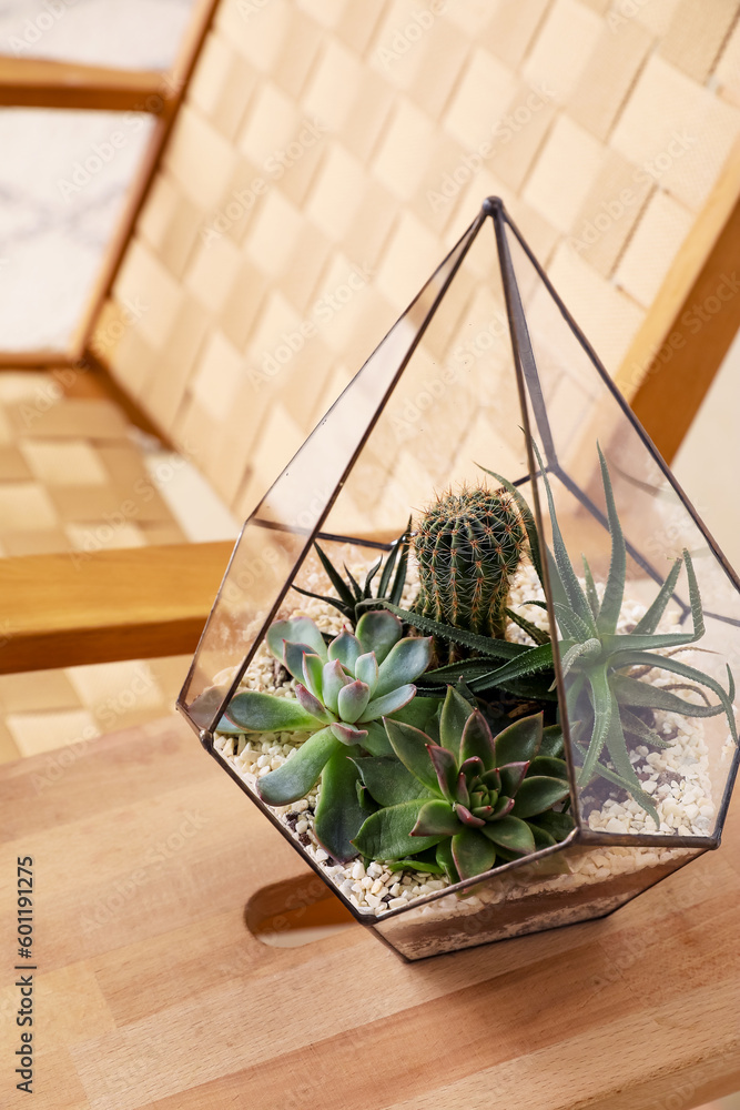 Florarium on table in living room, closeup