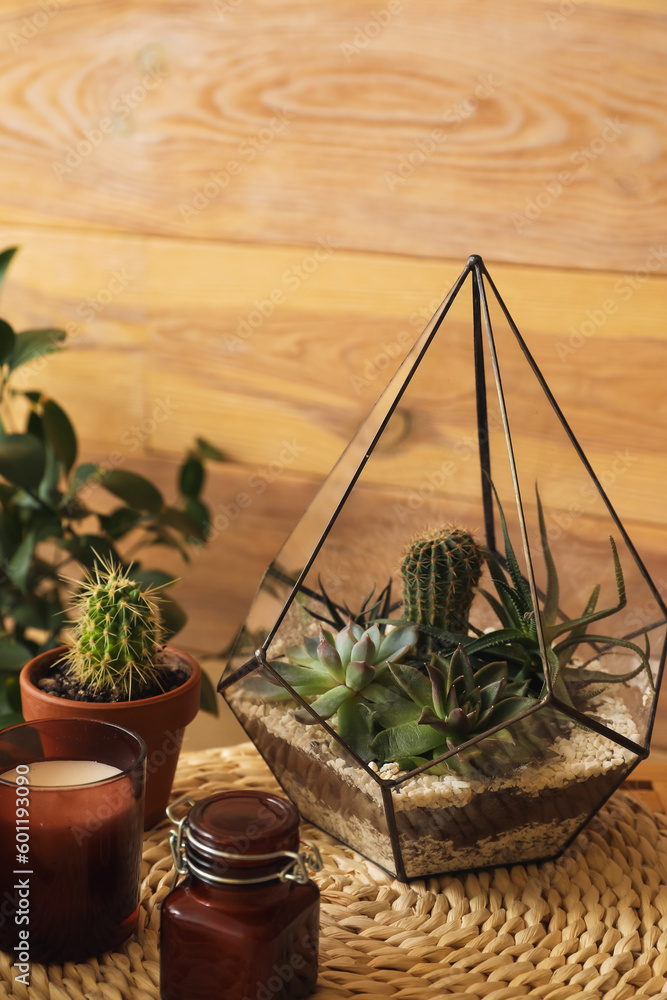 Florarium on table in living room, closeup