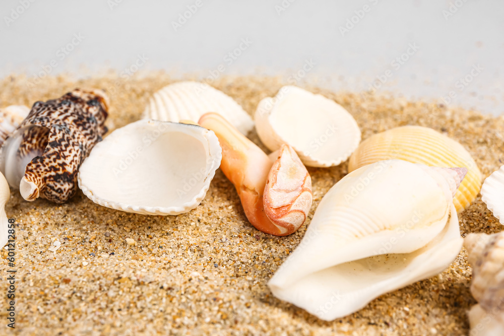 Sand with seashells on grey background