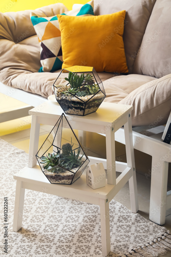 Florariums with cup of coffee on stepladder in living room