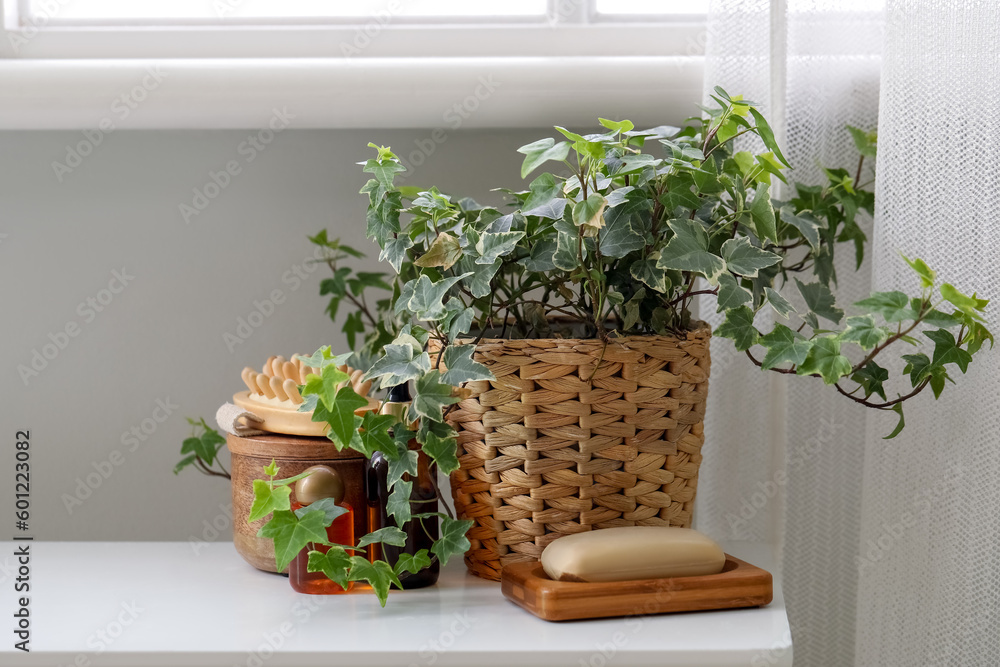 Massage brush, different cosmetic products and houseplant on table in bathroom