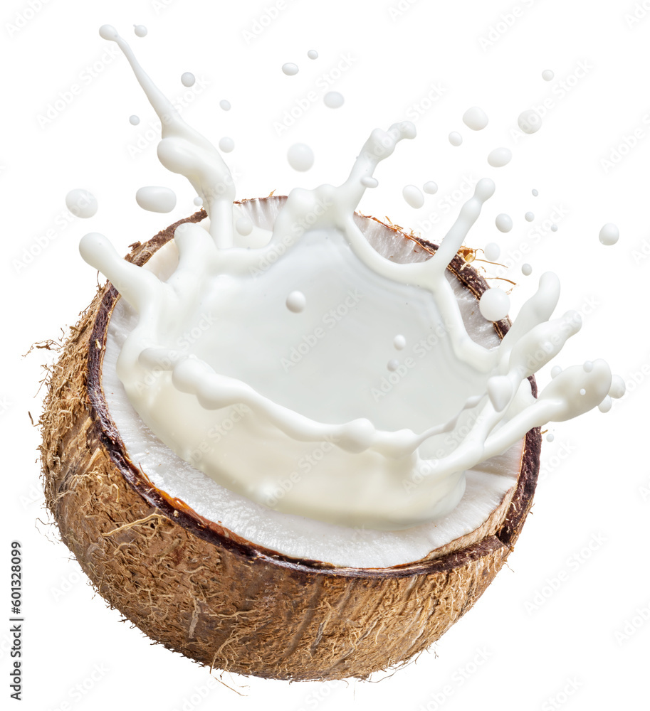 Coconut milk flying out from cracked coconut fruit. File contains clipping path.