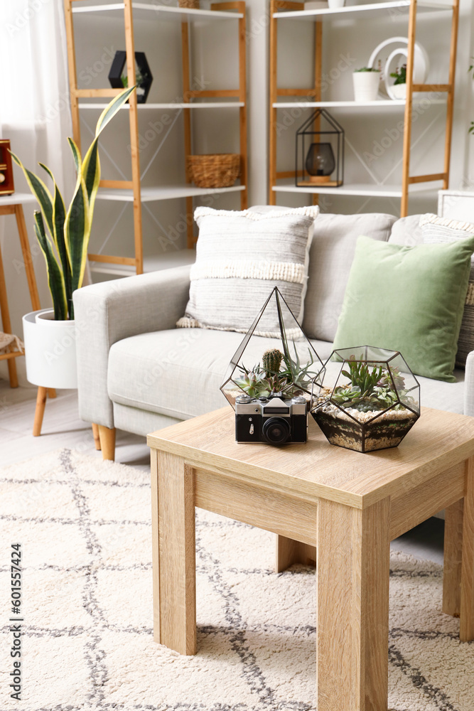 Florariums with photo camera on table in living room