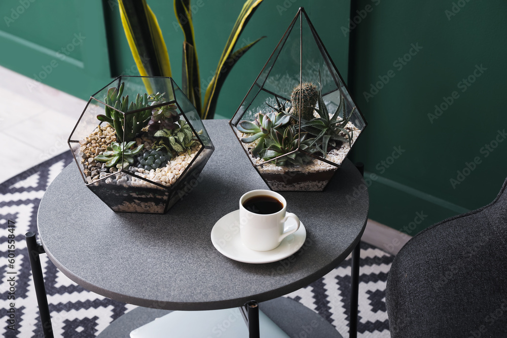 Florariums with cup of coffee on table in living room