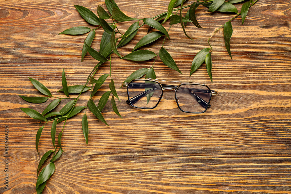 Stylish eyeglasses with plant branches on wooden background