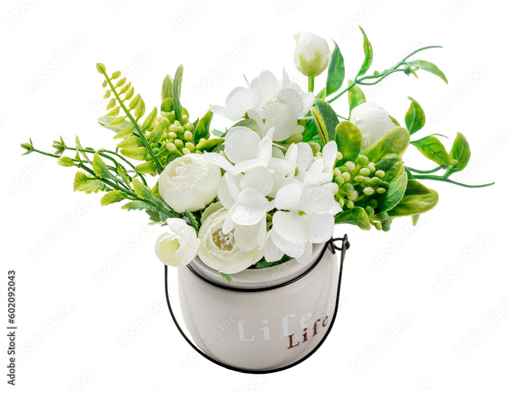 White flowers in pot isolated.