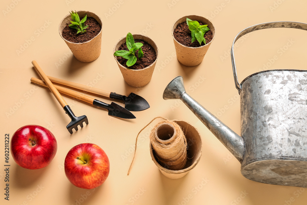 Peat pots with green seedlings, apples and gardening tools on beige background