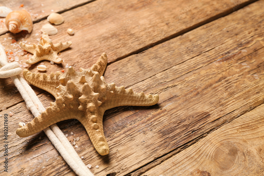 Seashells and starfishes with rope on brown wooden background