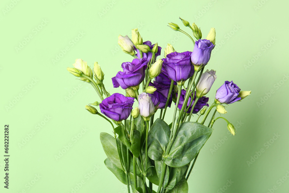 Eustoma flowers on green background