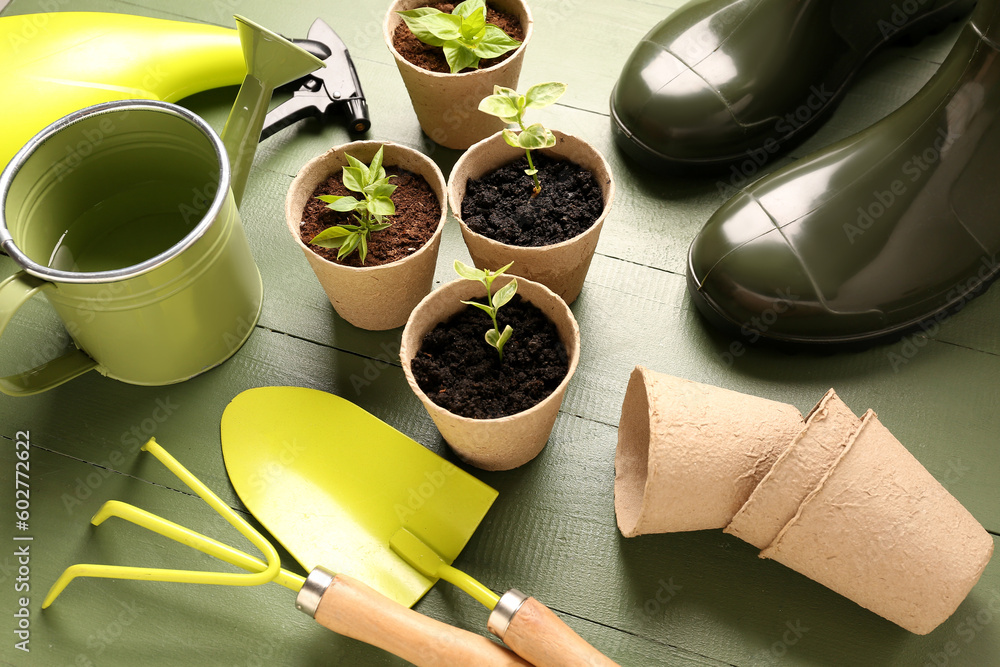 Peat pots with seedlings and gardening tools on green wooden background