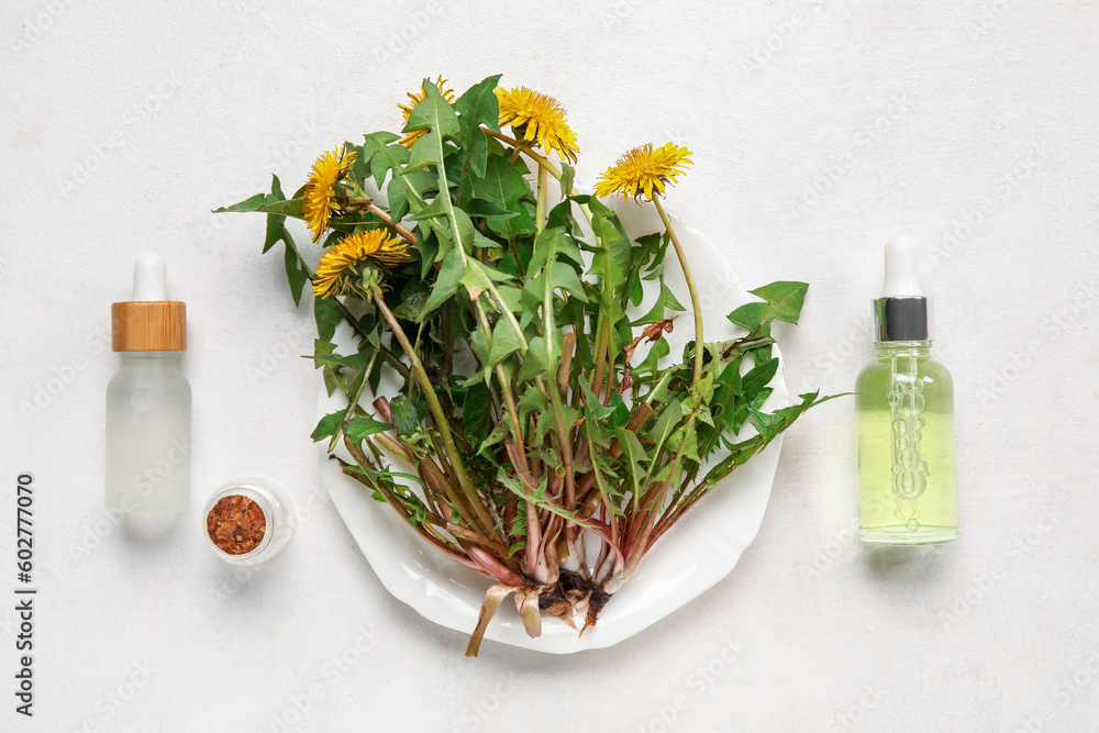 Bottles with cosmetic oil and plate of dandelion flowers on white background