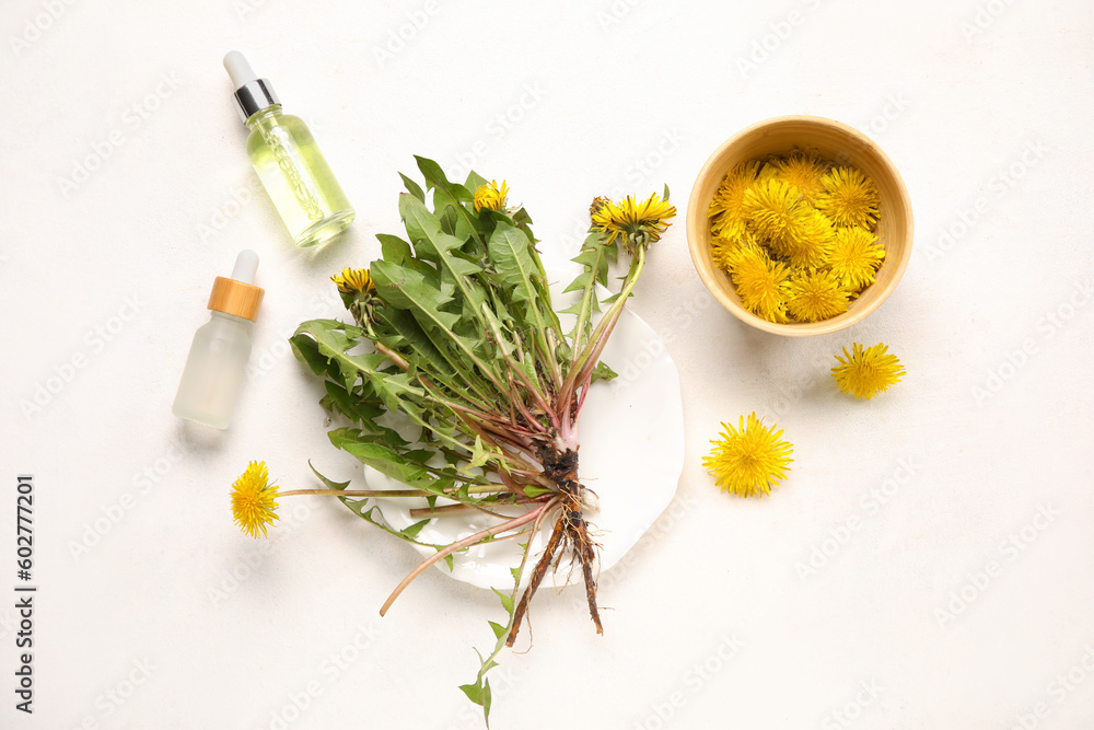 Bottles with cosmetic oil and bowl of dandelion flowers on white background