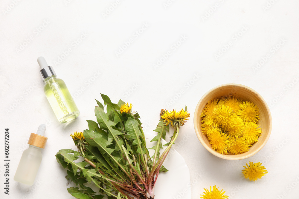 Bottles with cosmetic oil and bowl of dandelion flowers on white background