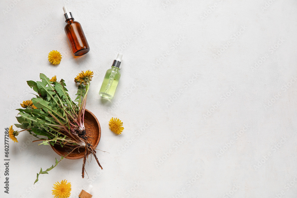 Bottles with cosmetic oil and plate of dandelion flowers on white background