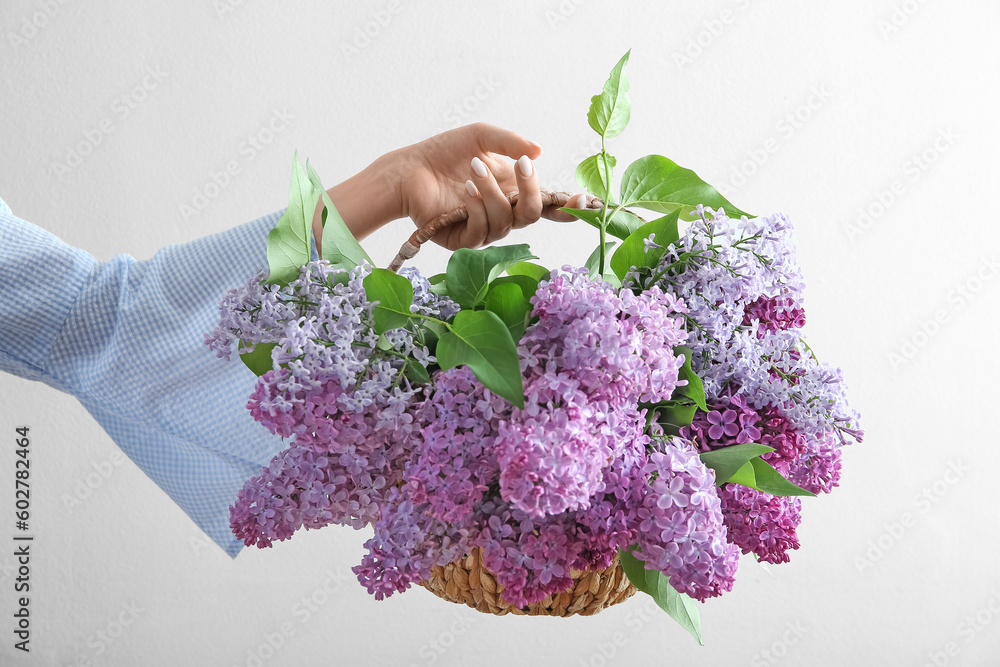 Female hand holding wicker basket of beautiful lilac flowers near white wall