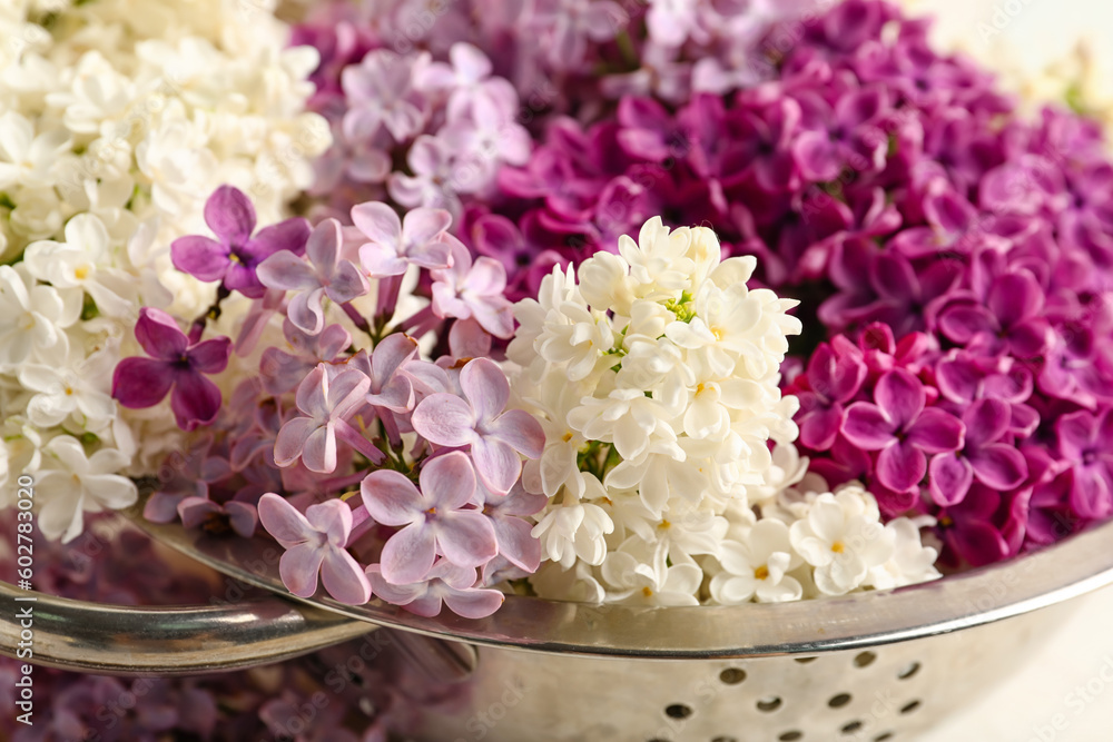 Colander with Beautiful fragrant lilac flowers, closeup