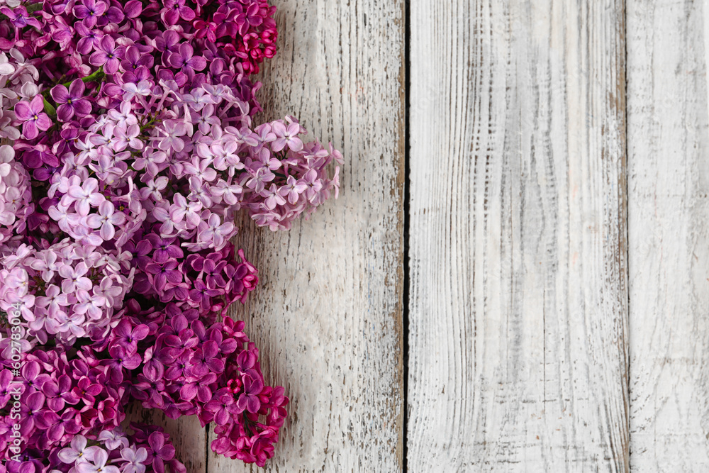 Beautiful fragrant lilac flowers on white wooden background