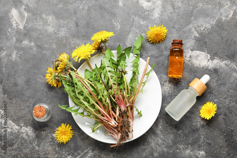 Bottles with cosmetic oil and plate of dandelion flowers on grey background