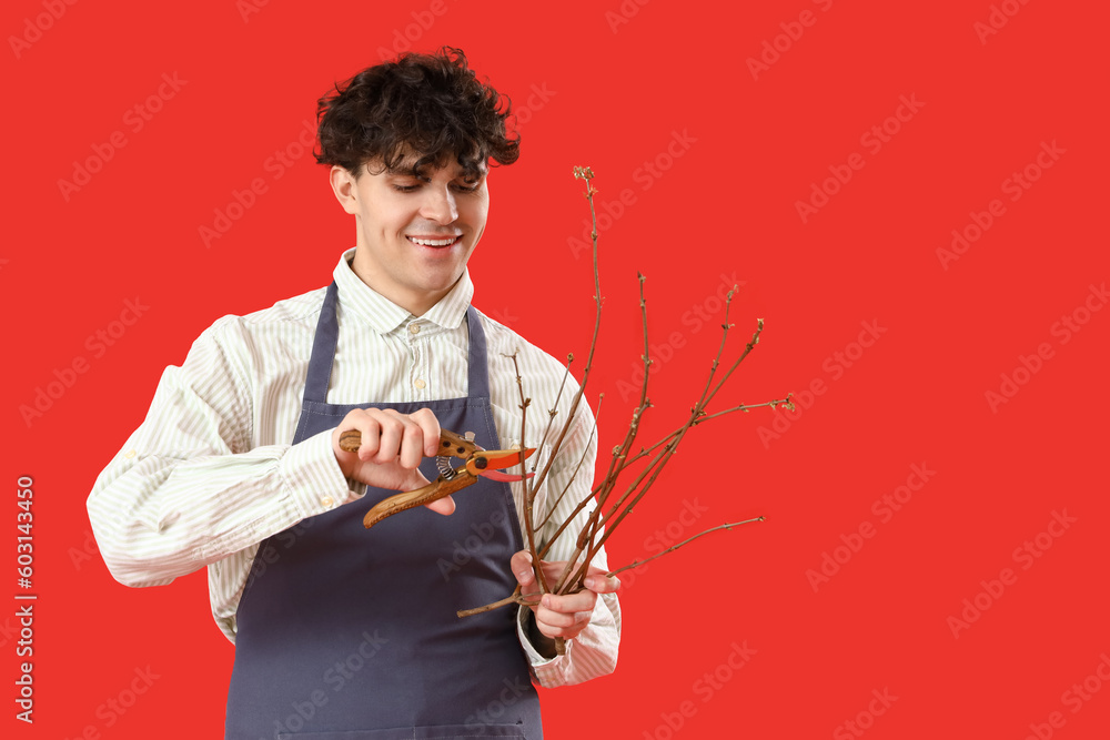 Male gardener cutting tree branches with secateurs on red background