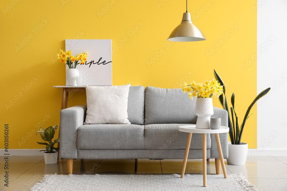 Cozy grey sofa and vase with beautiful narcissus flowers near yellow wall