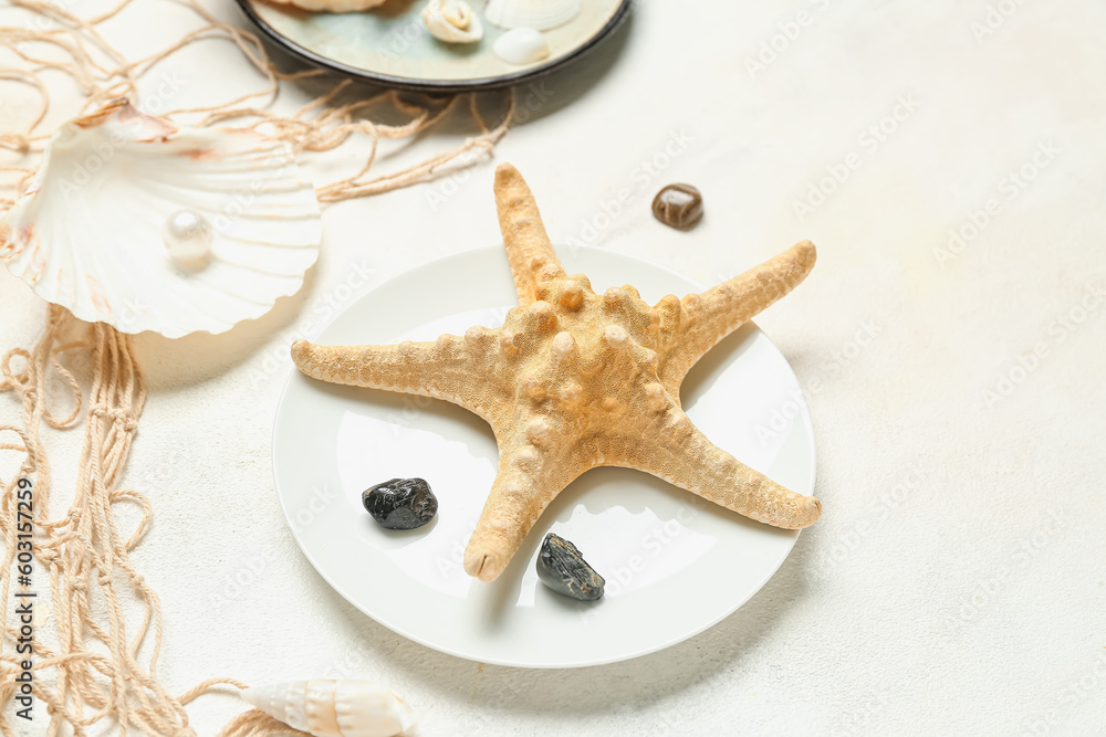 Plates with seashells, starfish and net on light background