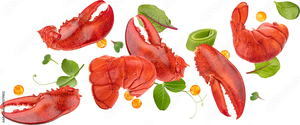 Falling lobster claws and tails with salad leaves isolated on white background with clipping path