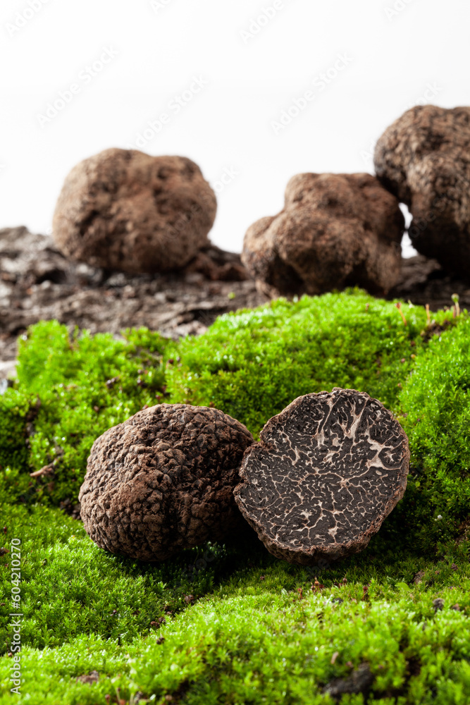 close up of fresh black truffles on the green moss.