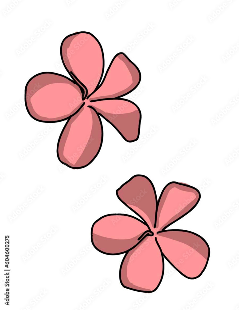 pink flower illustration