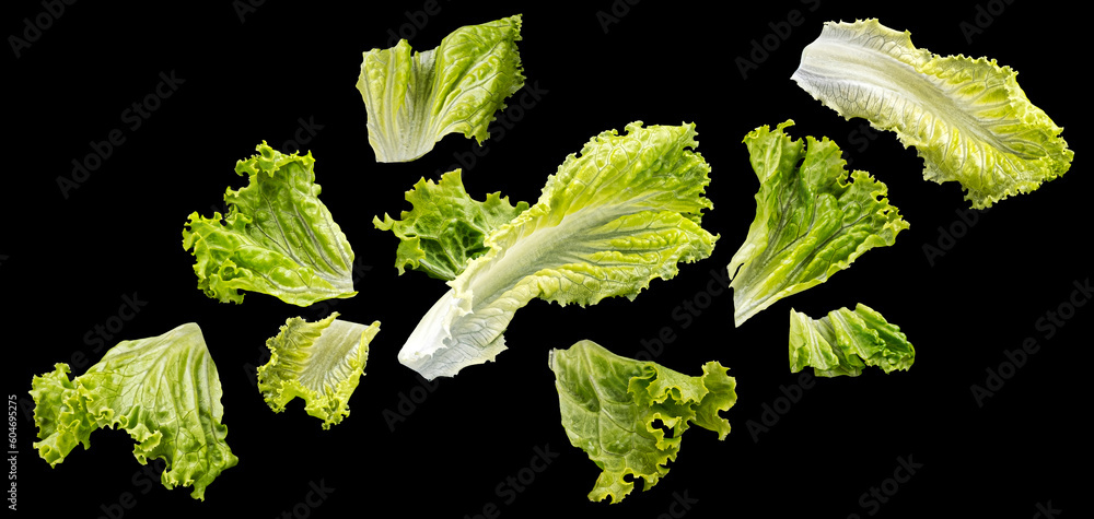 Falling salad leaves isolated on black background