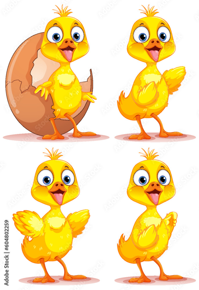 Set of baby chicken cartoon