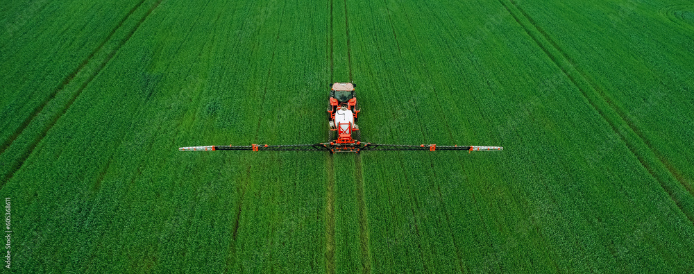 Aerial  view of tractor spraying pesticides on wheat  field with sprayer  in spring.