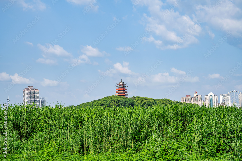 Ecological scenery of urban green space in Zhuzhou, China