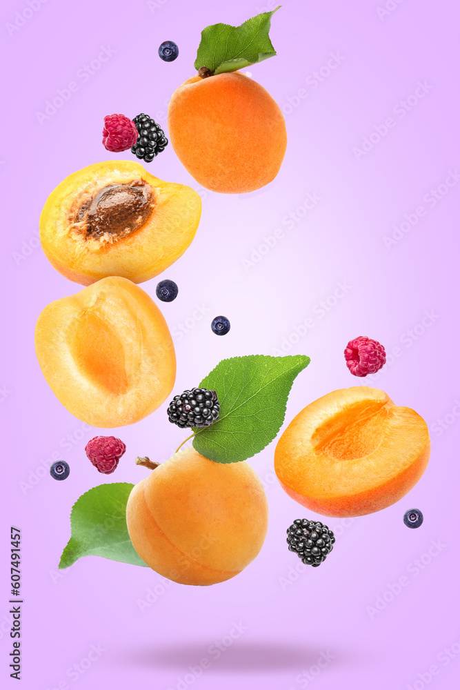 Flying apricots and berries on lilac background