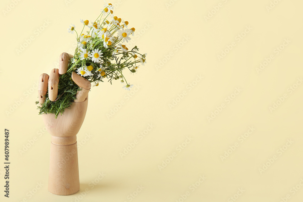 Wooden hand with fresh chamomile flowers on color background