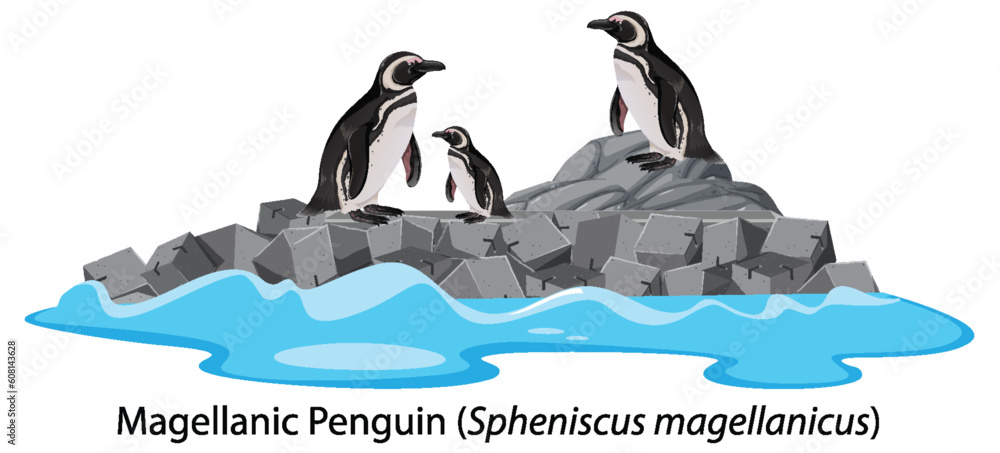 Magellanic penguin cartoon on the rock