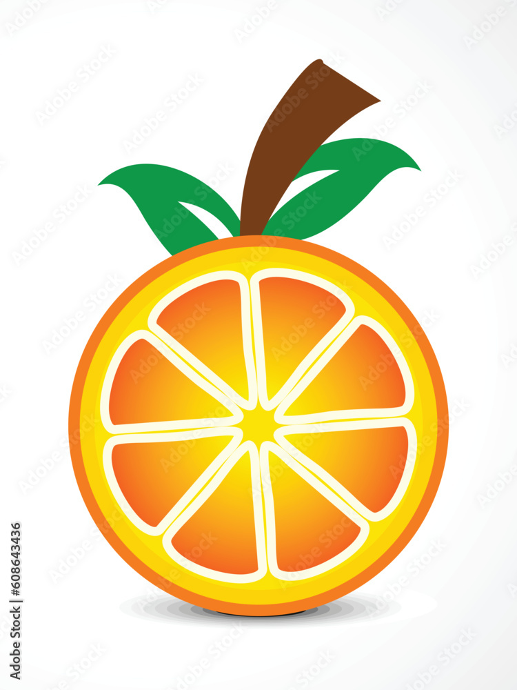 abstract vector orange fruit vector illustration