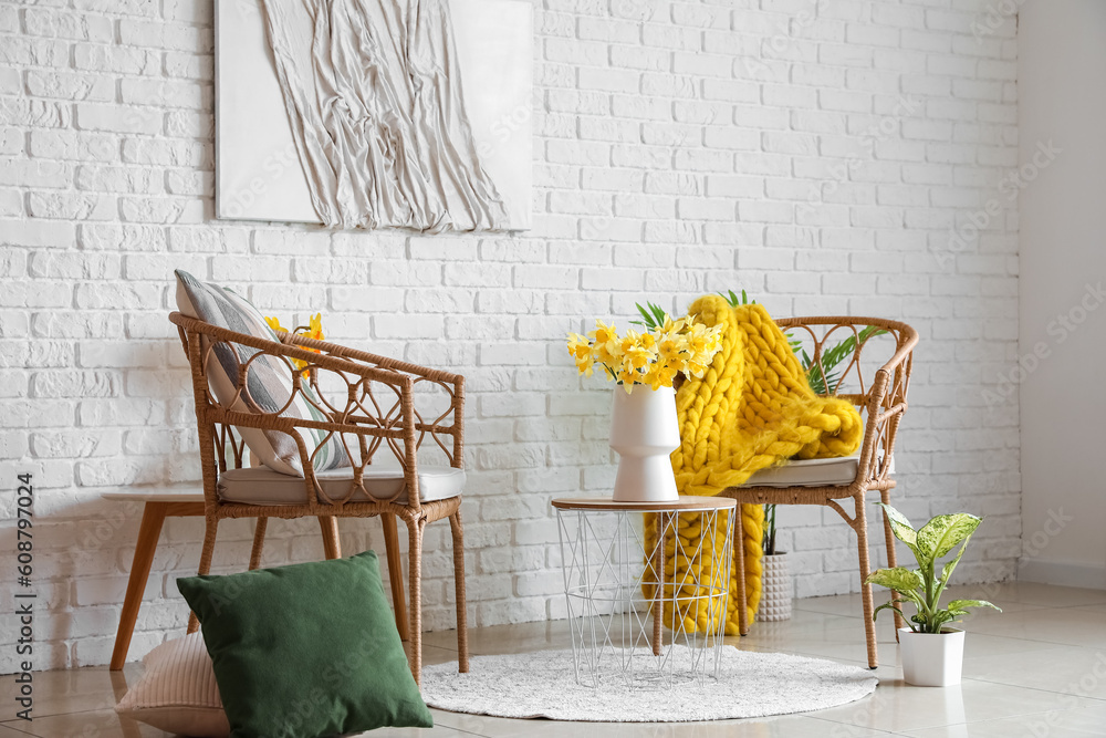 Interior of living room with cozy armchairs and blooming narcissus flowers on coffee table